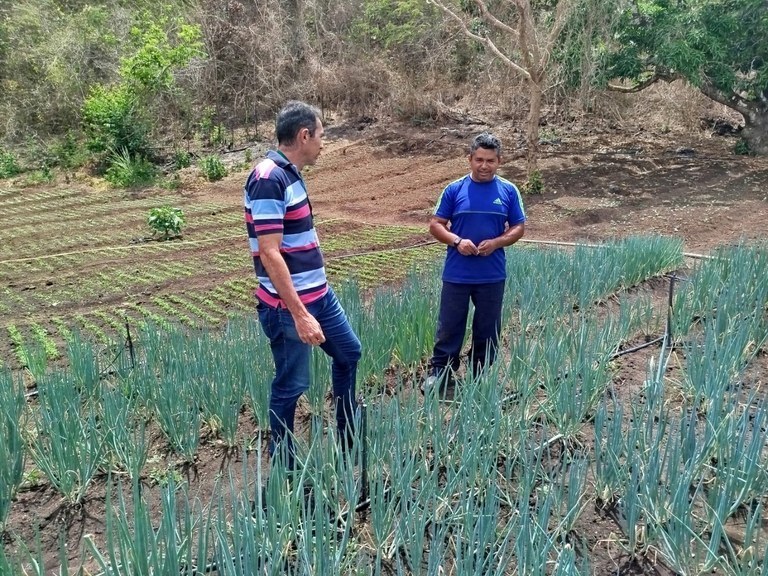 Agricultor familiar reforça renda com venda da produção ao Programa de Aquisição de Alimentos