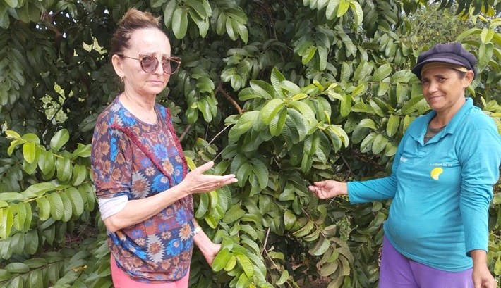 Famílias agricultoras de Piancó são orientadas no cultivo de quintais produtivos
